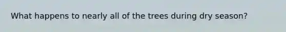 What happens to nearly all of the trees during dry season?