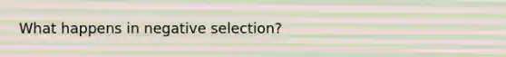 What happens in negative selection?