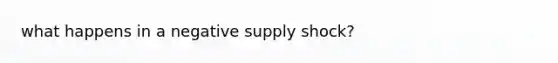 what happens in a negative supply shock?