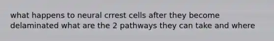 what happens to neural crrest cells after they become delaminated what are the 2 pathways they can take and where