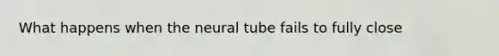 What happens when the neural tube fails to fully close