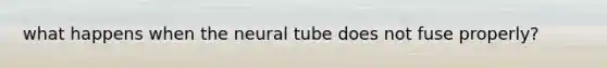 what happens when the neural tube does not fuse properly?