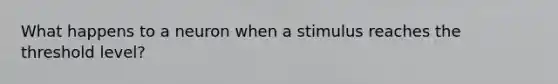 What happens to a neuron when a stimulus reaches the threshold level?