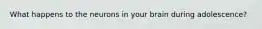 What happens to the neurons in your brain during adolescence?