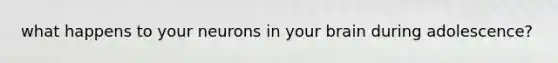 what happens to your neurons in your brain during adolescence?
