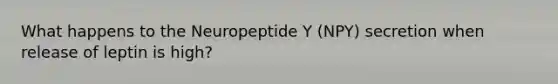 What happens to the Neuropeptide Y (NPY) secretion when release of leptin is high?