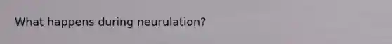 What happens during neurulation?