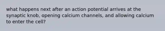 what happens next after an action potential arrives at the synaptic knob, opening calcium channels, and allowing calcium to enter the cell?