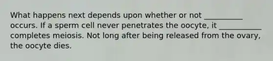 What happens next depends upon whether or not __________ occurs. If a sperm cell never penetrates the oocyte, it ___________ completes meiosis. Not long after being released from the ovary, the oocyte dies.