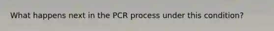 What happens next in the PCR process under this condition?