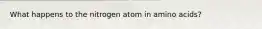 What happens to the nitrogen atom in amino acids?