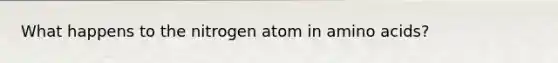 What happens to the nitrogen atom in amino acids?