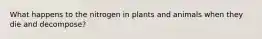 What happens to the nitrogen in plants and animals when they die and decompose?