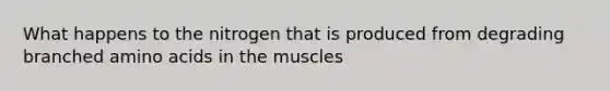 What happens to the nitrogen that is produced from degrading branched <a href='https://www.questionai.com/knowledge/k9gb720LCl-amino-acids' class='anchor-knowledge'>amino acids</a> in the muscles