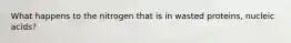 What happens to the nitrogen that is in wasted proteins, nucleic acids?