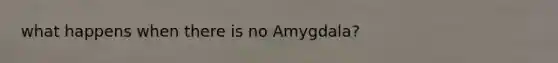 what happens when there is no Amygdala?