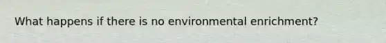 What happens if there is no environmental enrichment?