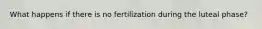 What happens if there is no fertilization during the luteal phase?