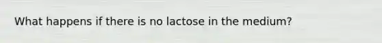 What happens if there is no lactose in the medium?