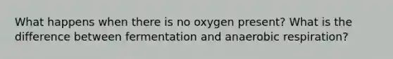 What happens when there is no oxygen present? What is the difference between fermentation and an<a href='https://www.questionai.com/knowledge/kyxGdbadrV-aerobic-respiration' class='anchor-knowledge'>aerobic respiration</a>?