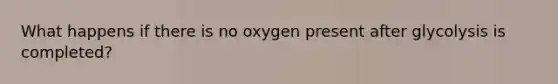 What happens if there is no oxygen present after glycolysis is completed?