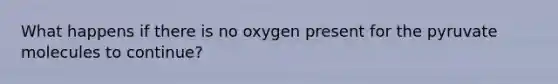 What happens if there is no oxygen present for the pyruvate molecules to continue?