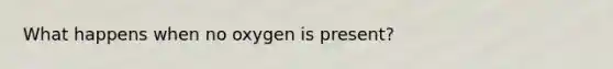 What happens when no oxygen is present?