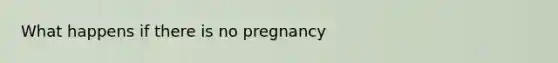 What happens if there is no pregnancy