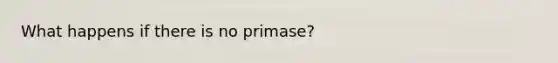 What happens if there is no primase?