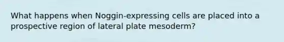 What happens when Noggin-expressing cells are placed into a prospective region of lateral plate mesoderm?