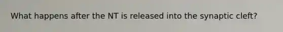 What happens after the NT is released into the synaptic cleft?