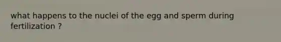 what happens to the nuclei of the egg and sperm during fertilization ?