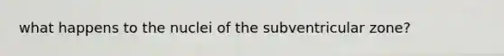 what happens to the nuclei of the subventricular zone?