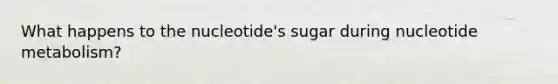 What happens to the nucleotide's sugar during nucleotide metabolism?