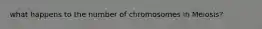 what happens to the number of chromosomes in Meiosis?
