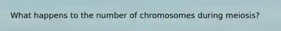 What happens to the number of chromosomes during meiosis?