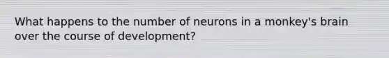 What happens to the number of neurons in a monkey's brain over the course of development?