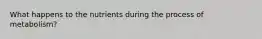 What happens to the nutrients during the process of metabolism?