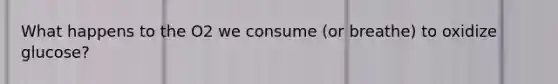 What happens to the O2 we consume (or breathe) to oxidize glucose?