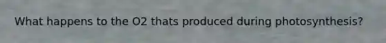 What happens to the O2 thats produced during photosynthesis?
