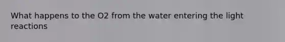 What happens to the O2 from the water entering the light reactions