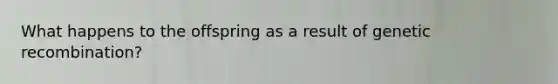 What happens to the offspring as a result of genetic recombination?