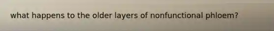 what happens to the older layers of nonfunctional phloem?