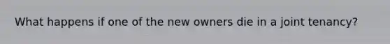 What happens if one of the new owners die in a joint tenancy?