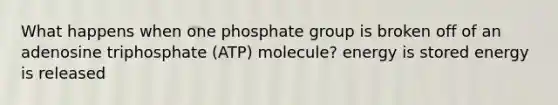 What happens when one phosphate group is broken off of an adenosine triphosphate (ATP) molecule? energy is stored energy is released