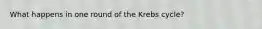 What happens in one round of the Krebs cycle?