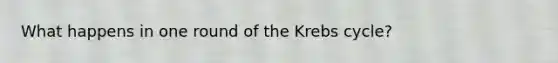 What happens in one round of the Krebs cycle?