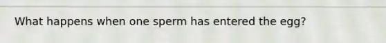 What happens when one sperm has entered the egg?