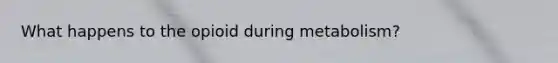 What happens to the opioid during metabolism?