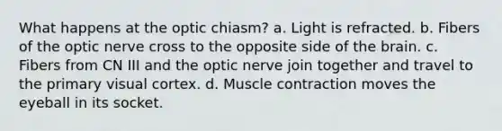 What happens at the optic chiasm? a. Light is refracted. b. Fibers of the optic nerve cross to the opposite side of the brain. c. Fibers from CN III and the optic nerve join together and travel to the primary visual cortex. d. Muscle contraction moves the eyeball in its socket.